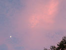 ピンクの雲と三日月