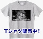 猫のTシャツ販売中