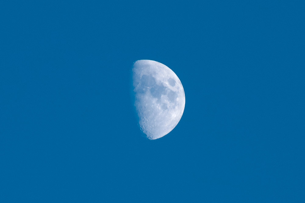 十日夜の月 大きい無料画像 フリー素材 Sothei