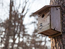 冬の鳥の巣箱