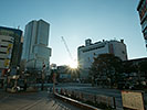 渋谷に昇る太陽