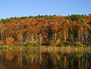 紅葉と蓼科湖