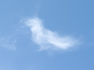 鳥雲
