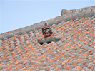 屋根上のシーサー