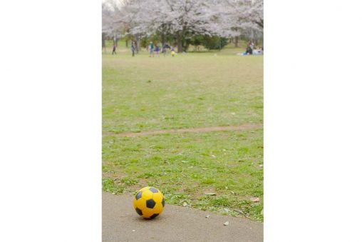 サッカーボールと満開の桜
