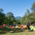 夏のキャンプ場のテント