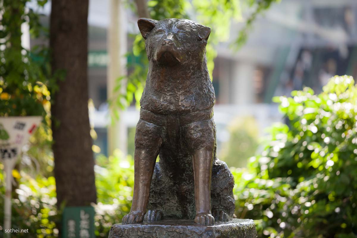 渋谷の忠犬ハチ公像