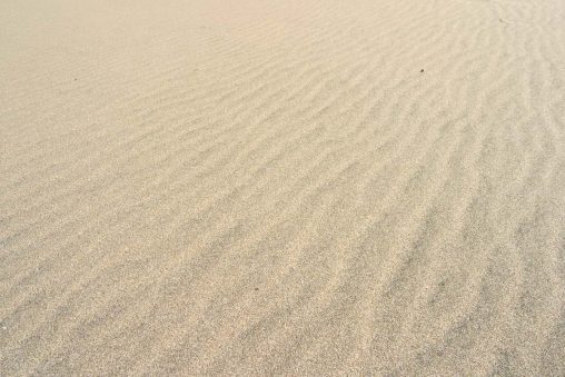 砂浜の風紋