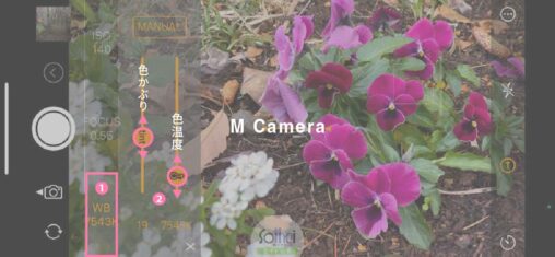 M Canera ホワイトバランス・色かぶり設定