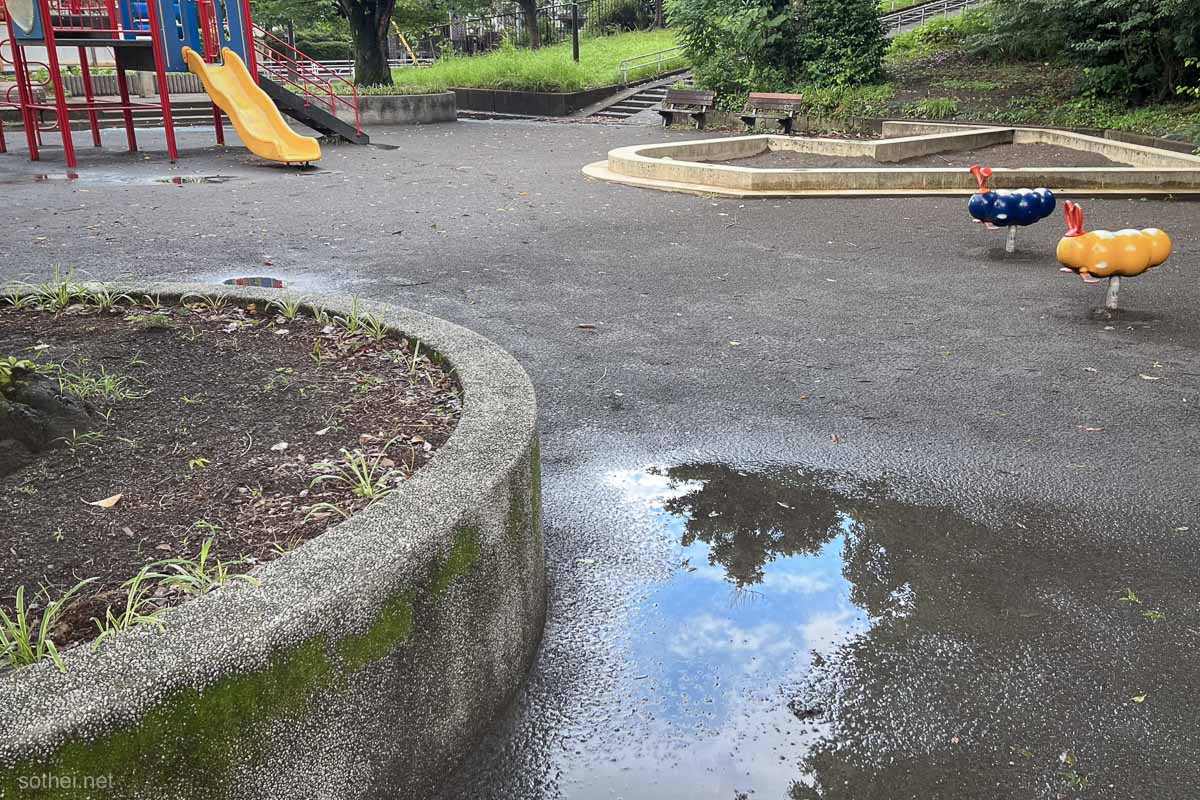 公園の水たまり