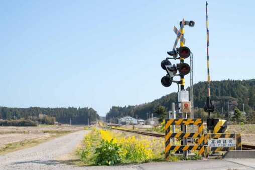 単線の踏切と菜の花
